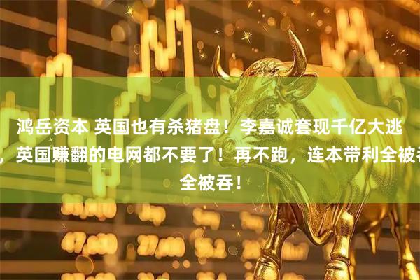 鸿岳资本 英国也有杀猪盘！李嘉诚套现千亿大逃亡，英国赚翻的电网都不要了！再不跑，连本带利全被吞！