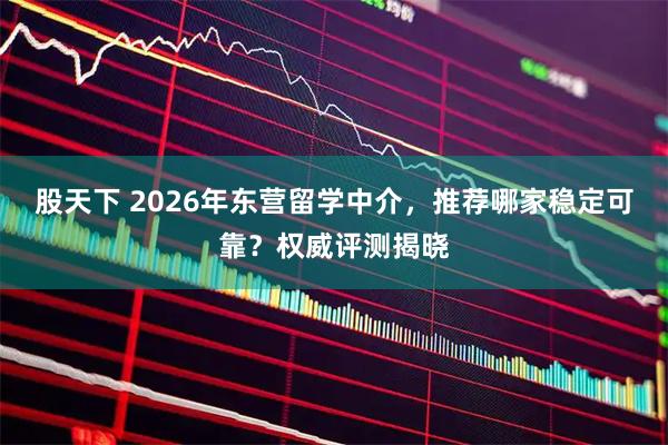 股天下 2026年东营留学中介，推荐哪家稳定可靠？权威评测揭晓