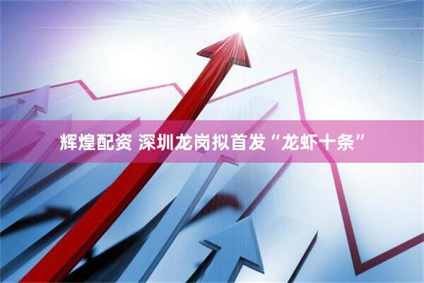 辉煌配资 深圳龙岗拟首发“龙虾十条”