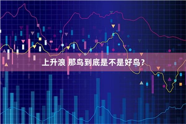 上升浪 那鸟到底是不是好鸟？
