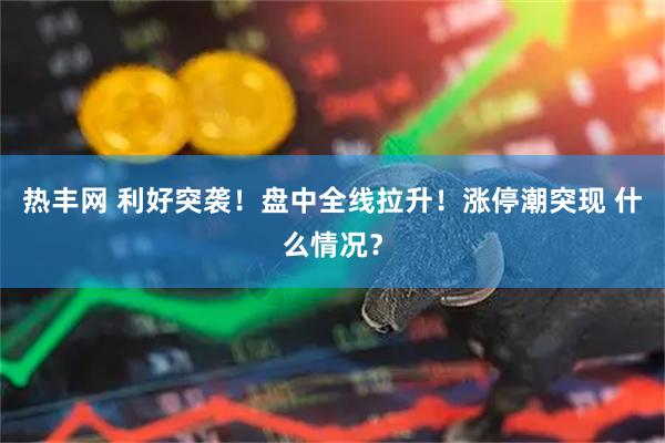 热丰网 利好突袭！盘中全线拉升！涨停潮突现 什么情况？