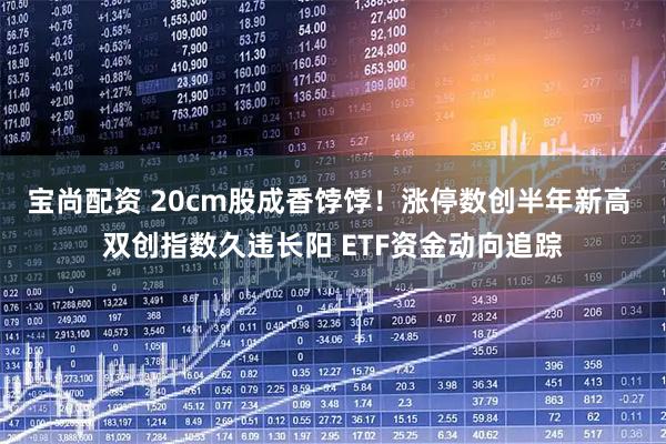 宝尚配资 20cm股成香饽饽！涨停数创半年新高 双创指数久违长阳 ETF资金动向追踪