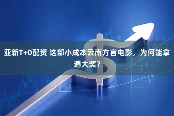 亚新T+0配资 这部小成本云南方言电影，为何能拿遍大奖？