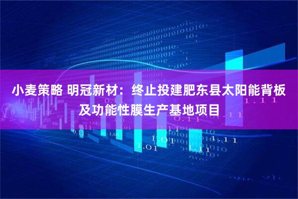 小麦策略 明冠新材：终止投建肥东县太阳能背板及功能性膜生产基地项目