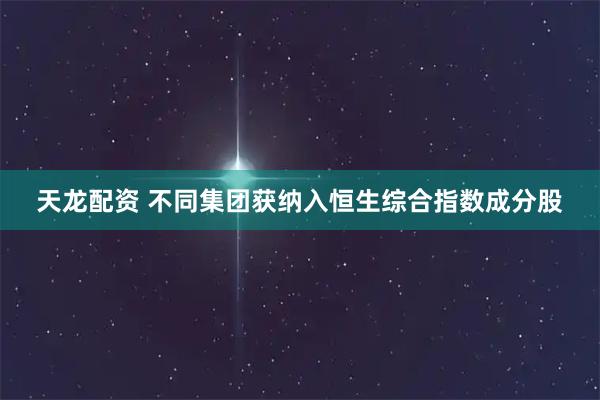 天龙配资 不同集团获纳入恒生综合指数成分股
