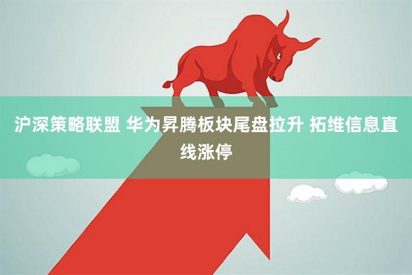 沪深策略联盟 华为昇腾板块尾盘拉升 拓维信息直线涨停