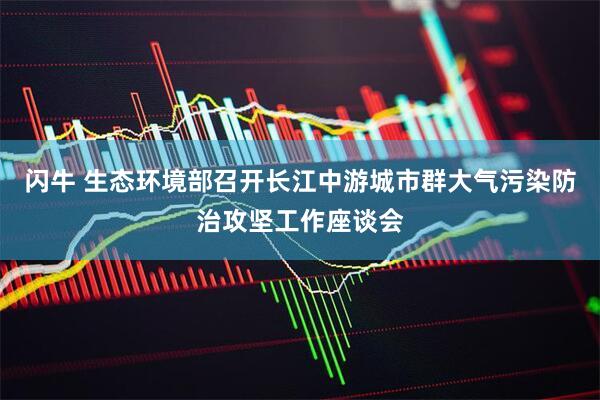 闪牛 生态环境部召开长江中游城市群大气污染防治攻坚工作座谈会