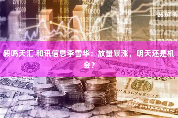 毅鸣天汇 和讯信息李雪华：放量暴涨，明天还是机会？