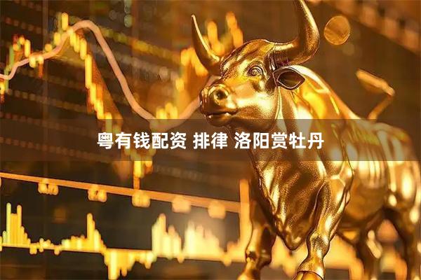 粤有钱配资 排律 洛阳赏牡丹
