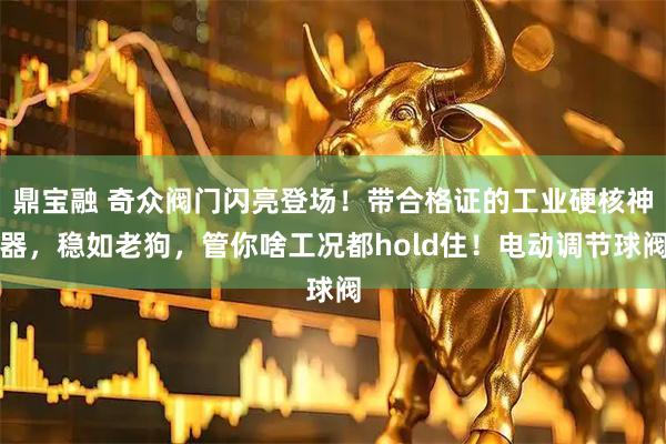鼎宝融 奇众阀门闪亮登场！带合格证的工业硬核神器，稳如老狗，管你啥工况都hold住！电动调节球阀
