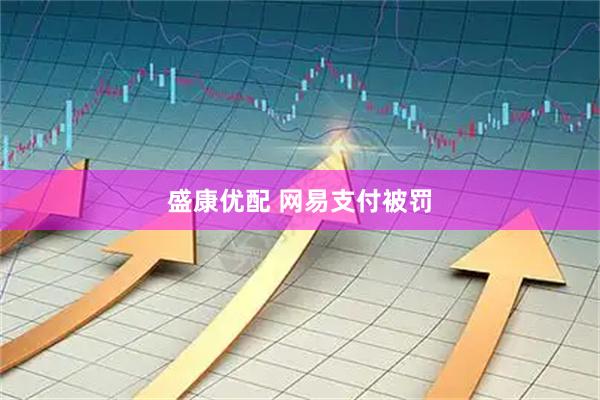 盛康优配 网易支付被罚