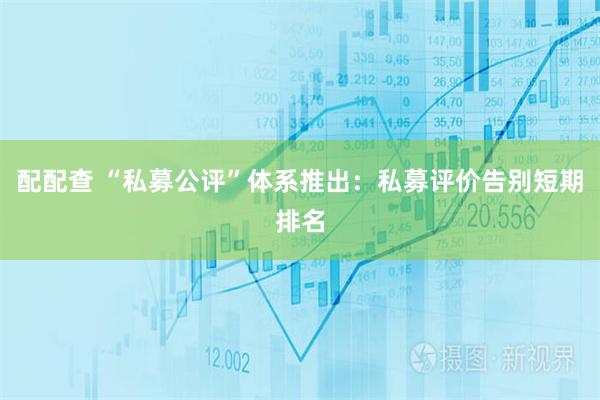 配配查 “私募公评”体系推出：私募评价告别短期排名