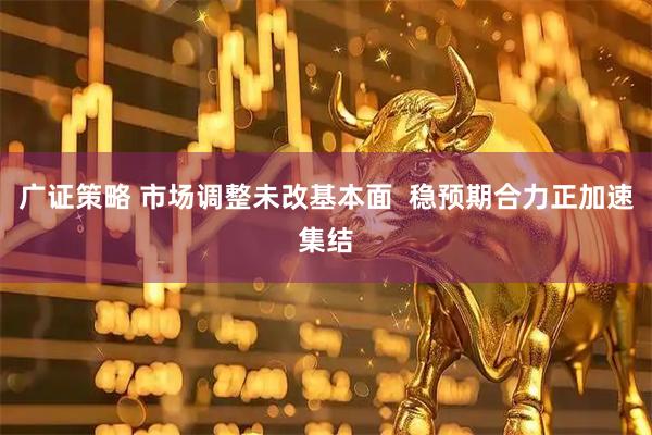 广证策略 市场调整未改基本面  稳预期合力正加速集结