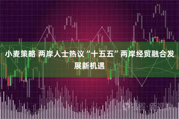 小麦策略 两岸人士热议“十五五”两岸经贸融合发展新机遇
