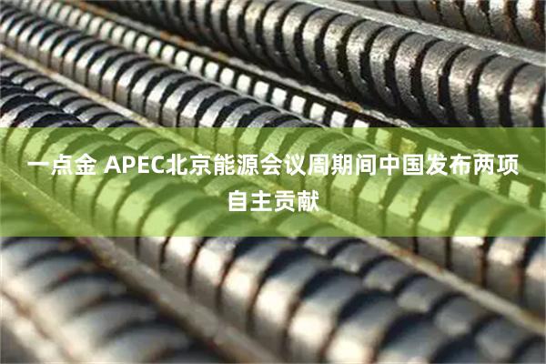 一点金 APEC北京能源会议周期间中国发布两项自主贡献